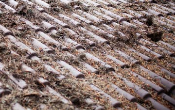 Walmgate Stray roof cleaning companies