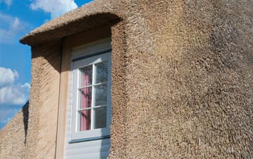 Walmgate Stray thatch roof disadvantages