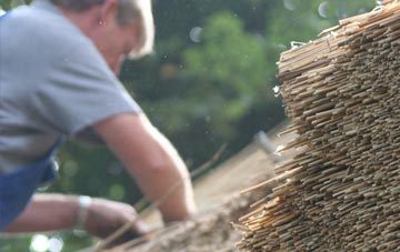 professional Walmgate Stray thatchers